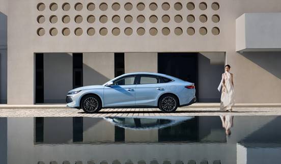 说明: 20240424秦L-场景图10731