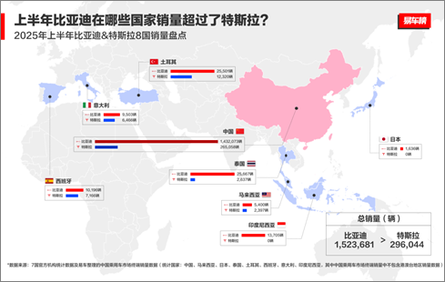 说明: 【带logo】上半年8国比亚迪&特斯拉