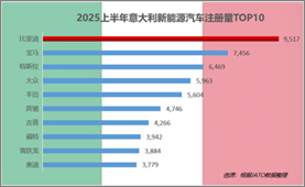 说明: 2025上半年意大利新能源汽车注册量TOP10