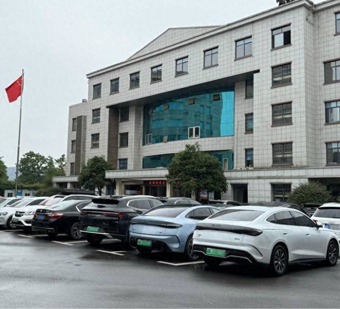 政府大院“停满”比亚迪，公务员购车风向标折射中国汽车崛起