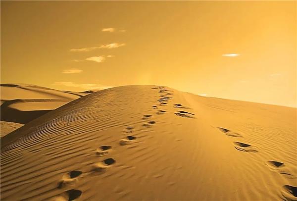 疫情后，维修连锁扩张还是收缩？