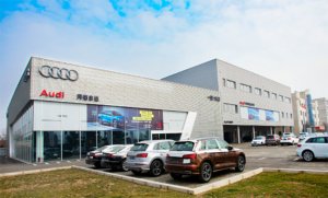 爱奥迪   在志达