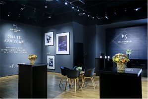 倾情回馈体验升级 DS品牌在华持续精进服务