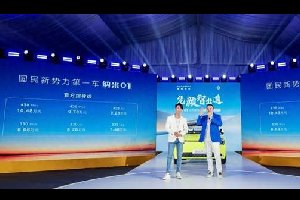 国民新势力第一车东风纳米01上市 7.48万元起售